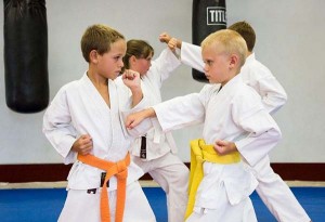 clases de karate infantil barcelona gimnasio clases de karate para niños gimnasio barcelona aprender karate infantil aprender karate para niños barcelona gimnasio