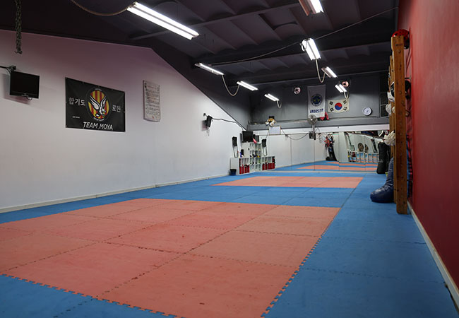 sala entrenar hapkido jiujitsu campeones esport rogent